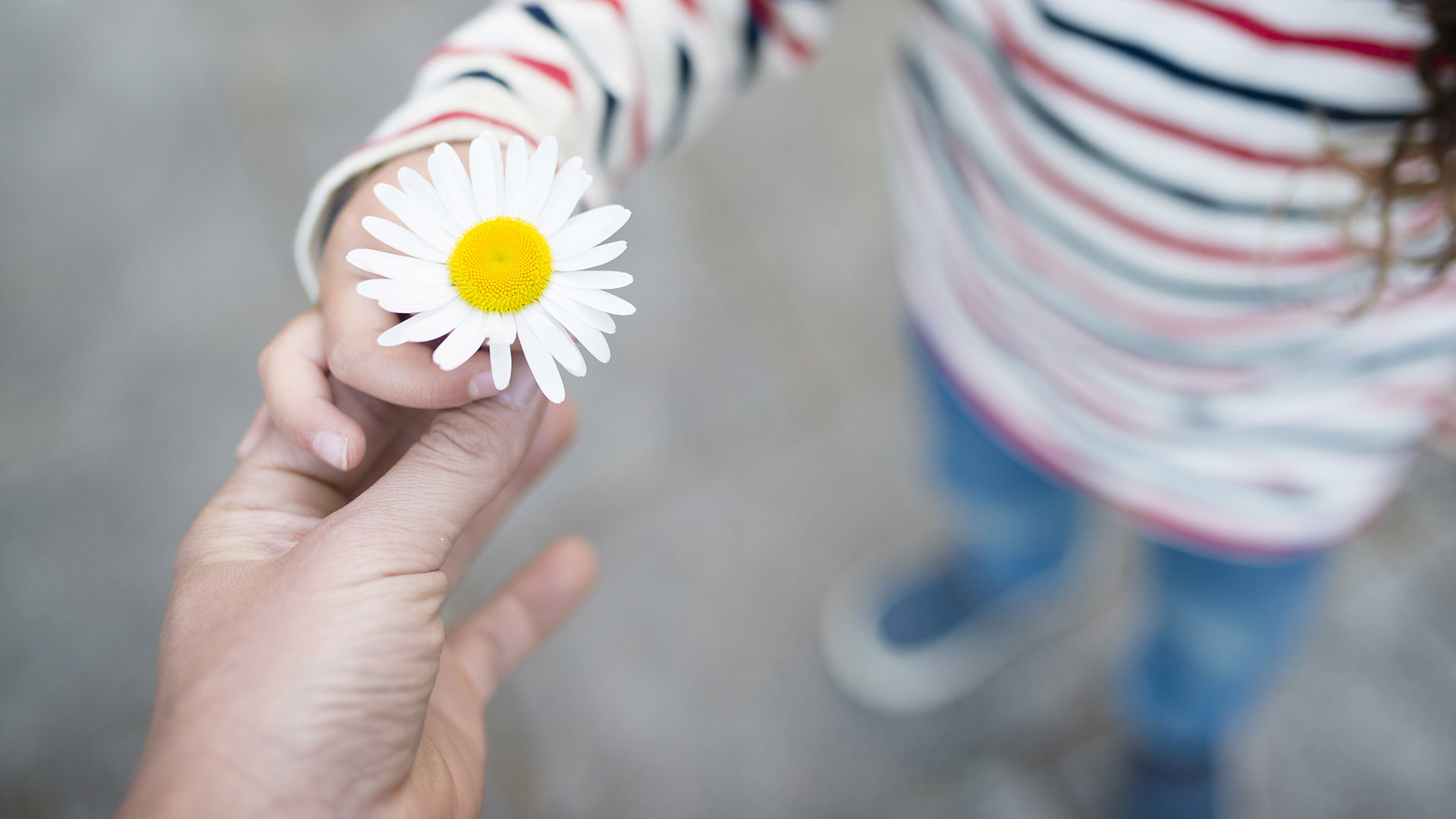 Why Sharing is Caring in Field Service