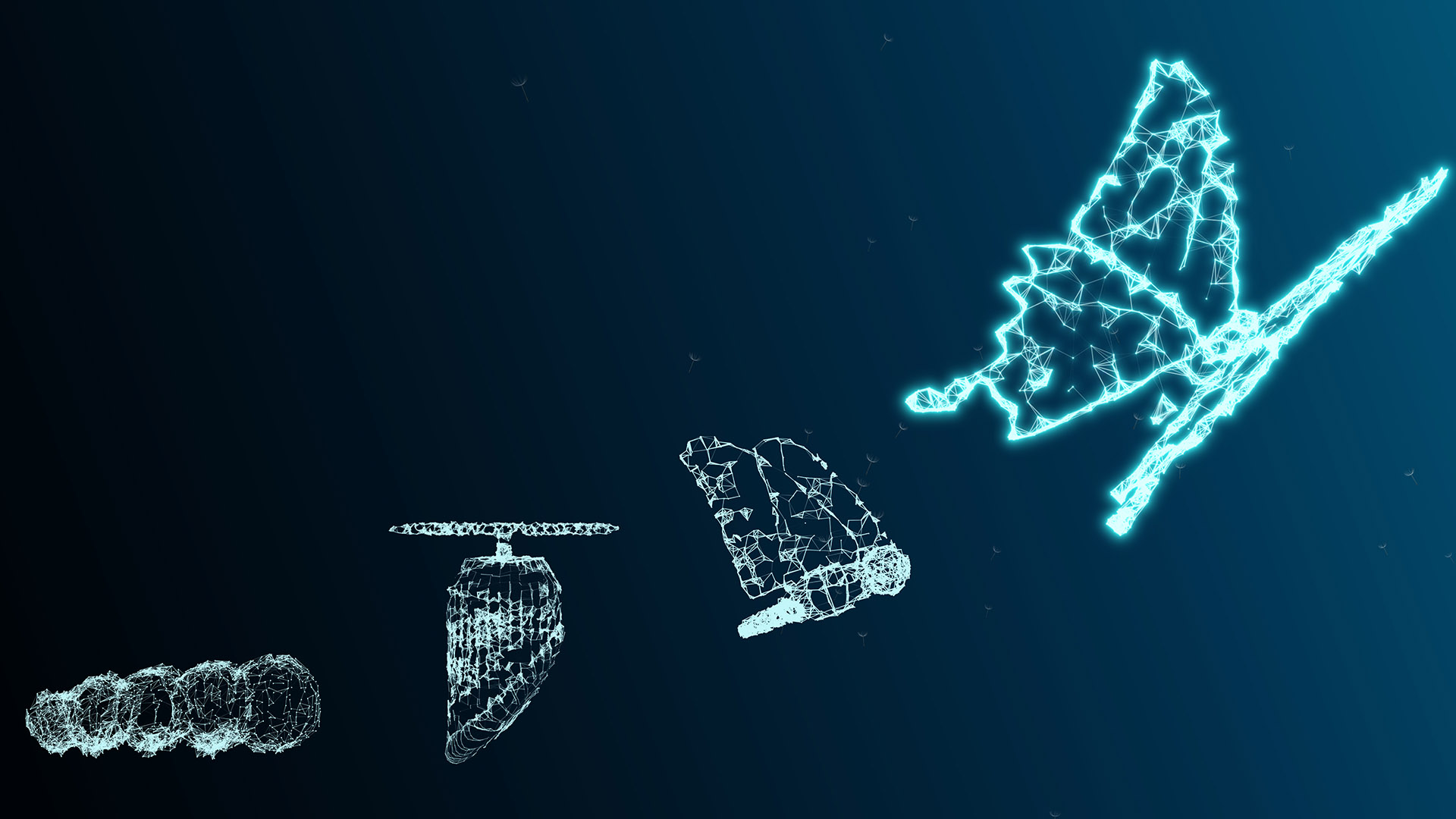 How the Role of the Service Engineer Can Evolve and Adapt to the Rapid Changes in Service Delivery