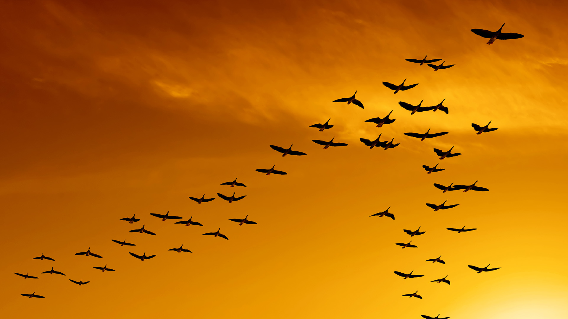 Think Tank Sessions: Alignment with the Client to achieve Customer Success