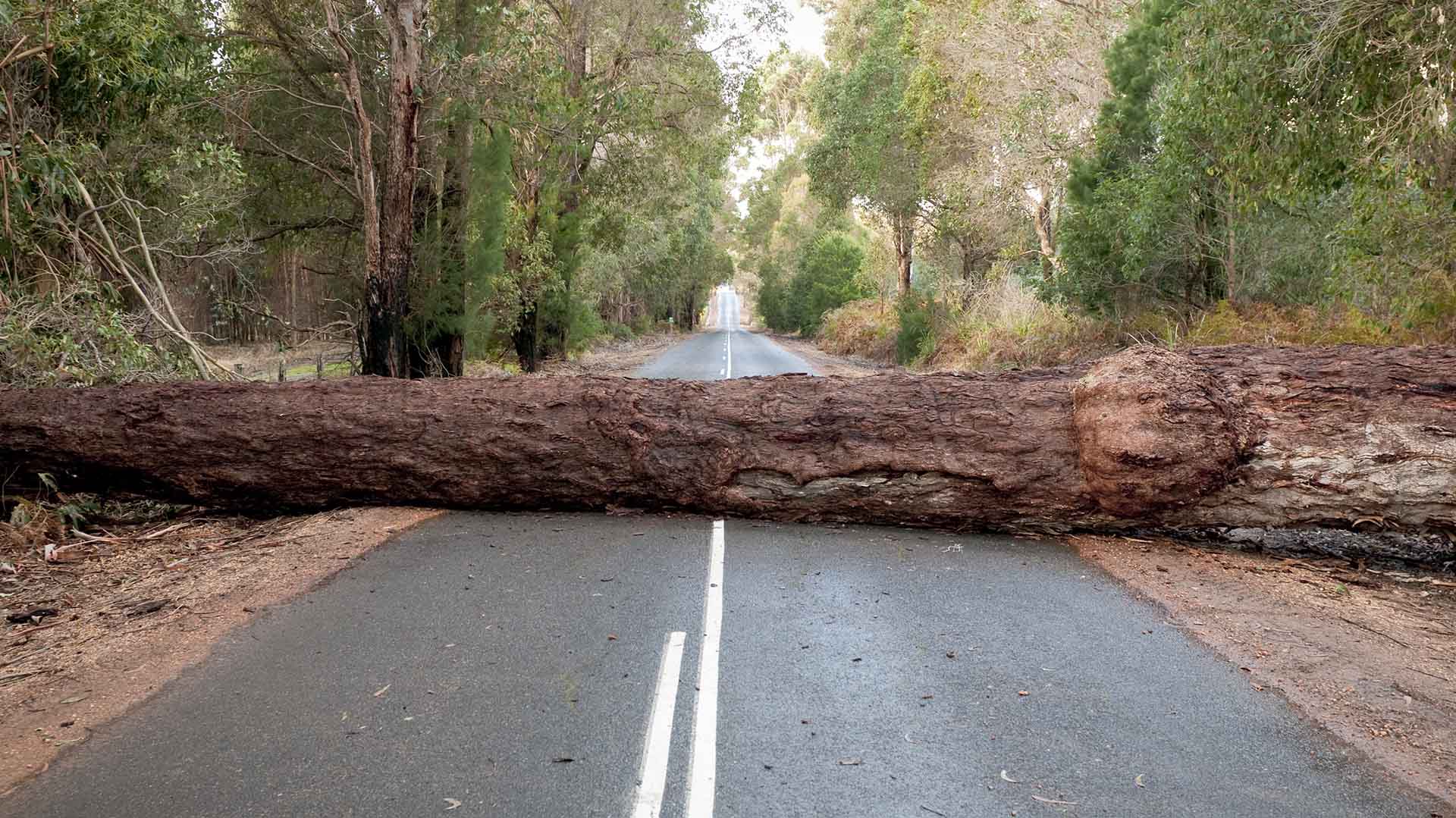 What is the biggest barrier to retention of an engineering workforce?