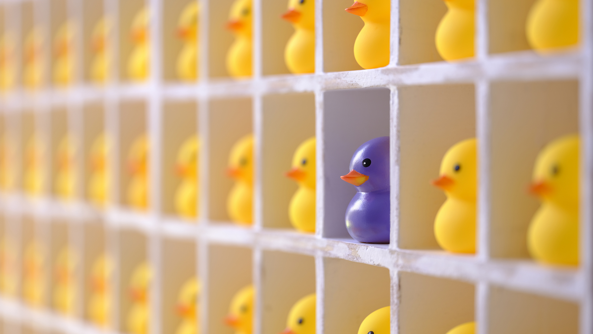 The parallels of customer success within the software sector and servitization within manufacturing