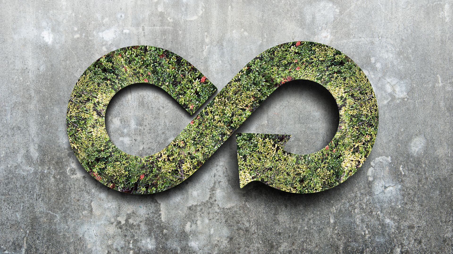 Electrolux launches Appliance-as-a-Service program to promote circular economy