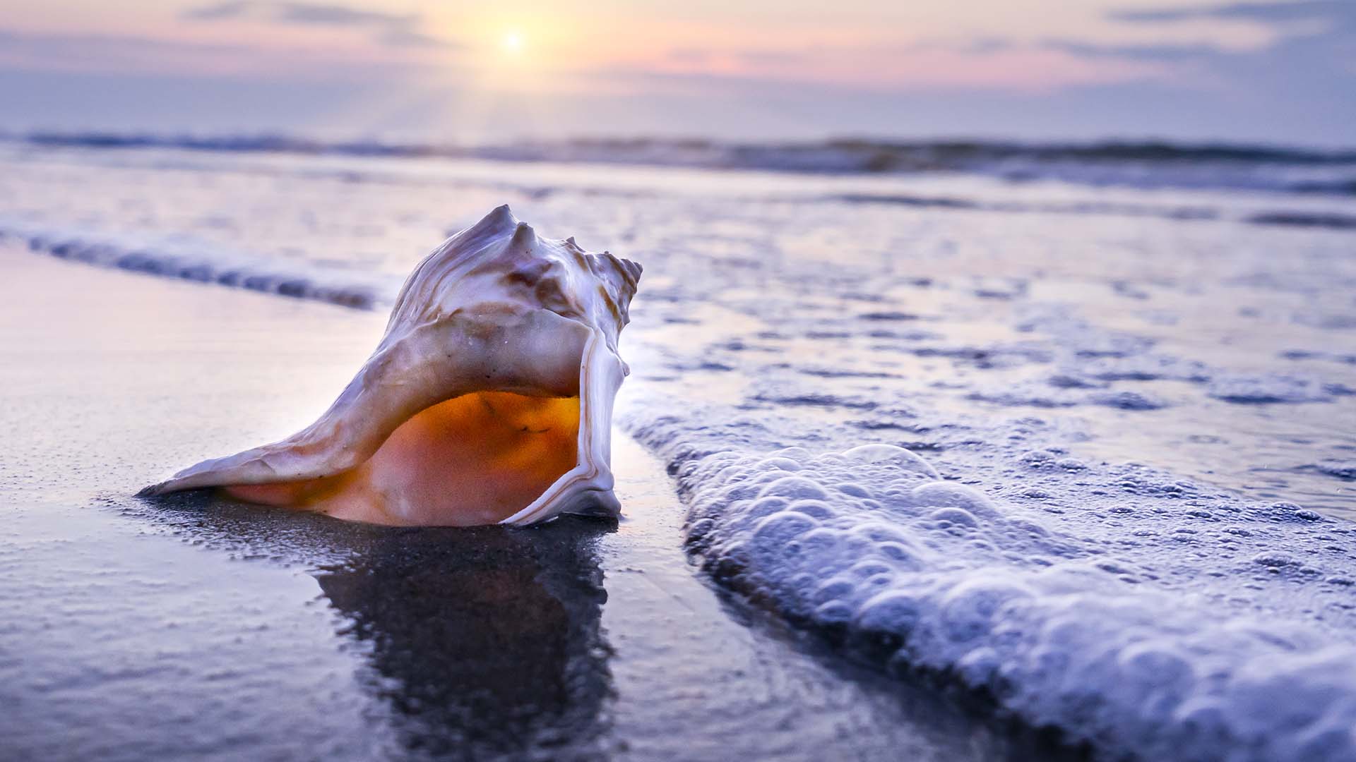 Kate Murphy on the Science of Effective Listening